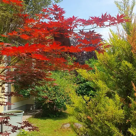 아파트 Aberseehaus Nussbaumer