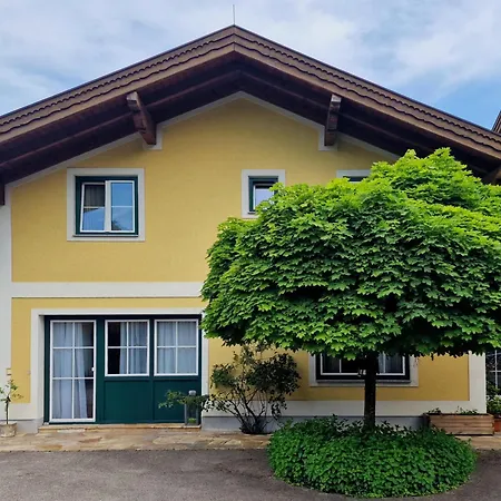 Aberseehaus Nussbaumer アパート *