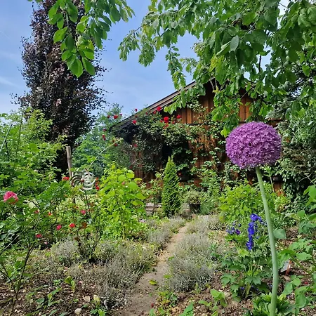 Apartmán Aberseehaus Nussbaumer *