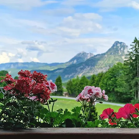 아파트 Aberseehaus Nussbaumer *