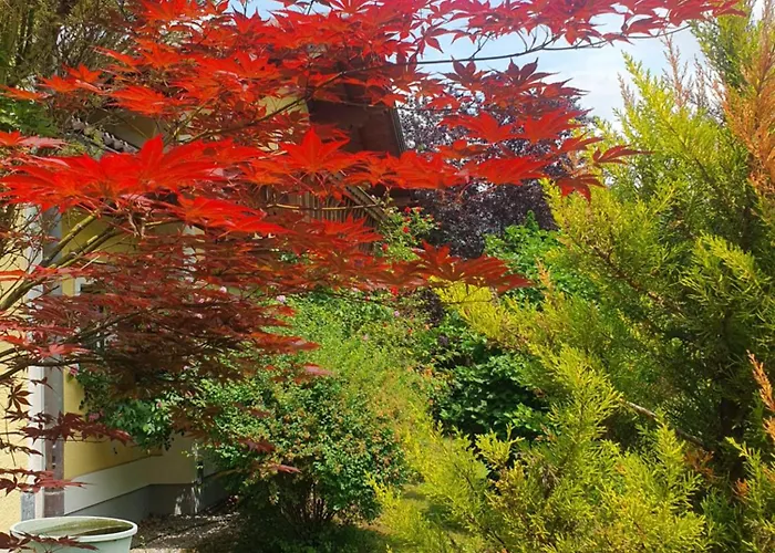 דירה Aberseehaus Nussbaumer