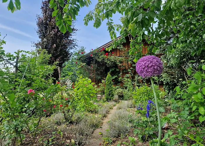 דירה Aberseehaus Nussbaumer *